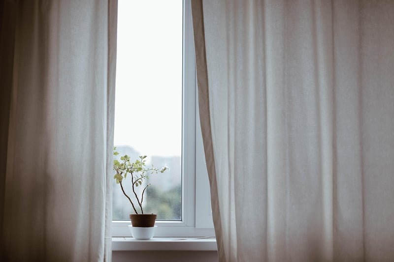 Indoor plant walls