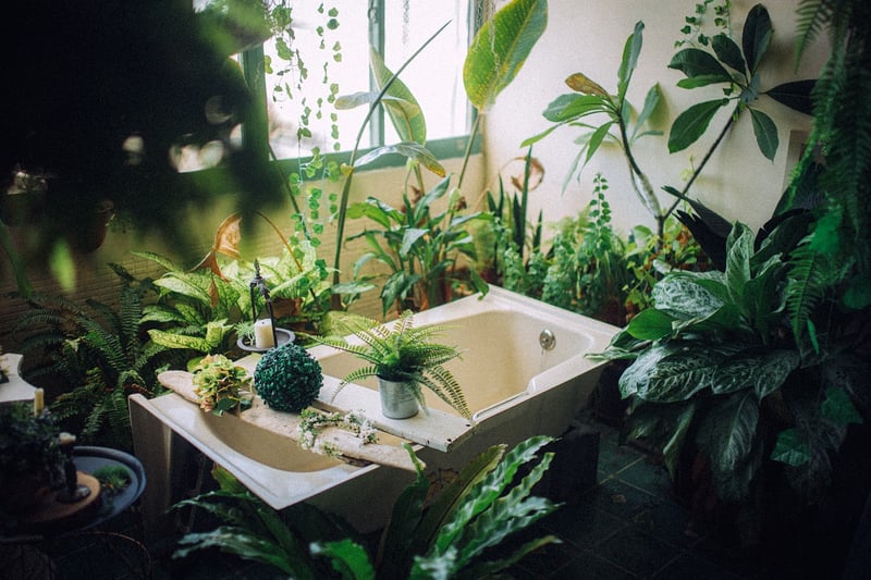 Watering & fertilizing tips