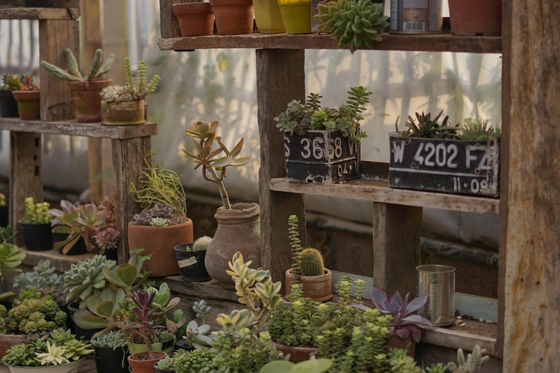 DIY Pallet Planter