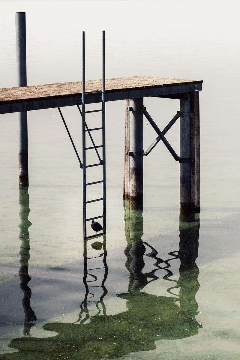 Ladder Plant Stand